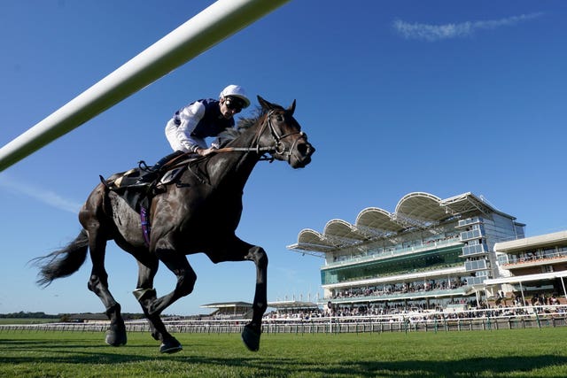 Miss Alpilles looks a picture at Newmarket
