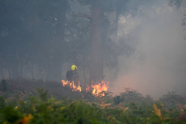 Suffolk coast wildfire