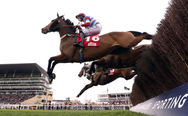 Kiltealy Briggs in action at the Cheltenham Festival