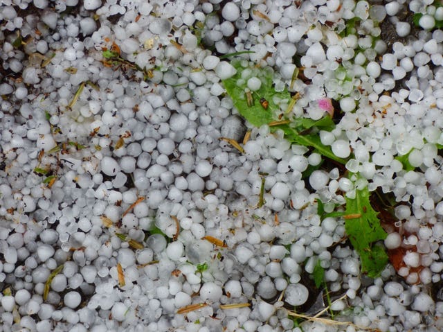 Hail stones that fell in Northampton