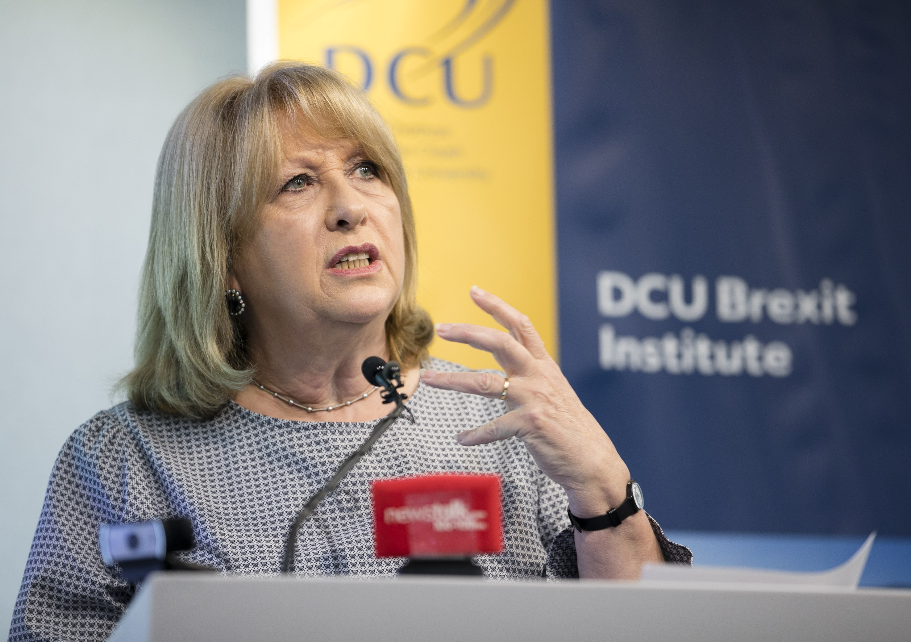 DCU Brexit institute event