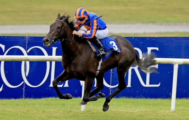 Meditate bids to bounce back to winning ways in the Cheveley Park Stakes
