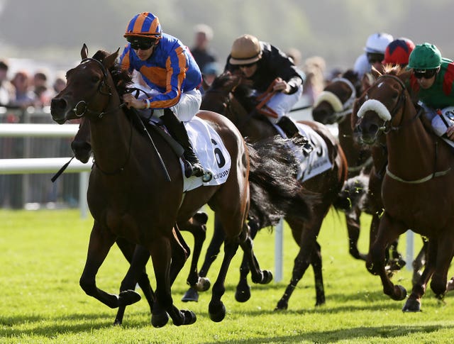 Hermosa on the way to winning at the Galway Festival in the summer
