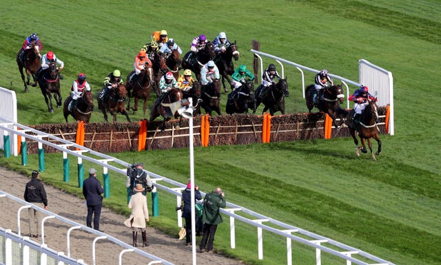 Captain Tom Cat leads over the final flight at Cheltenham
