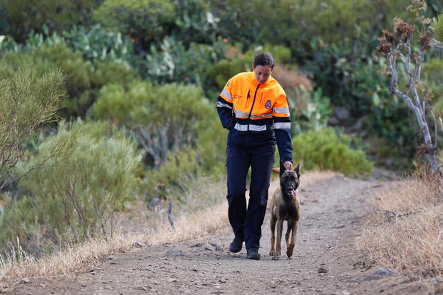 A rescuer with a dog