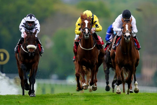 Red Vineyard (centre) was a Sandown winner last week