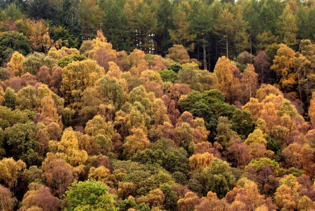 Autumn weather October 16th