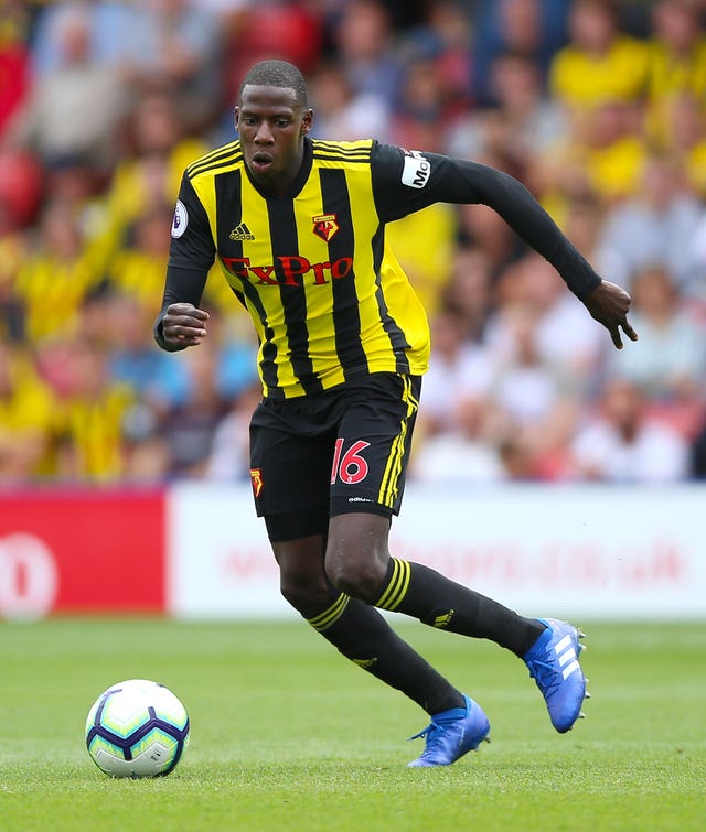Abdoulaye Doucoure has formed a strong partnership with Etienne Capoue in the Watford midfield