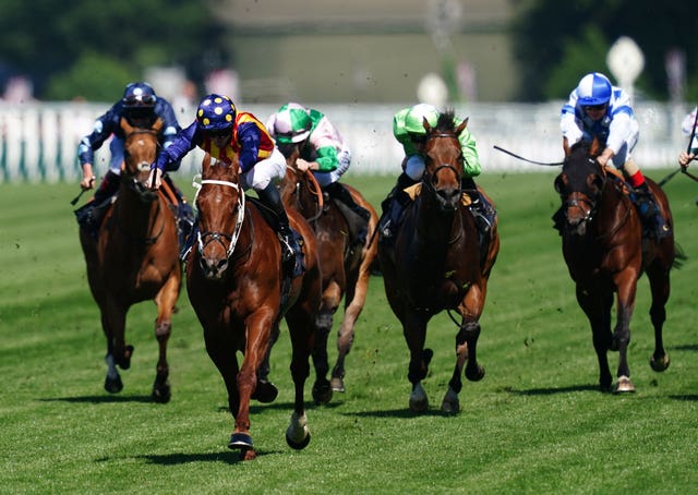 Nature Strip on his way to success