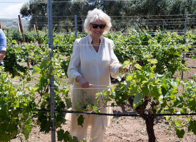 Camilla is given a tour of the vineyard and wine cellar during a visit to the Lyrarakis winery in Alagni (Arthur Edwards/The Sun/PA)