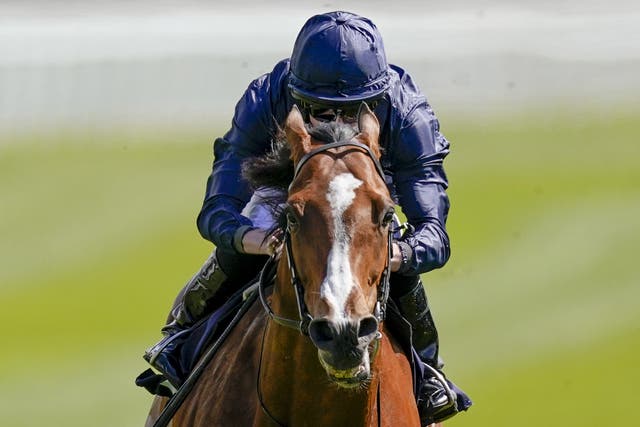 Armory represents trainer Aidan O'Brien in the Sky Bet York Stakes on the Knavesmire
