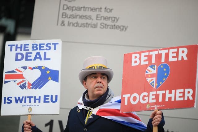 Anti-Brexit protestor Steve Bray