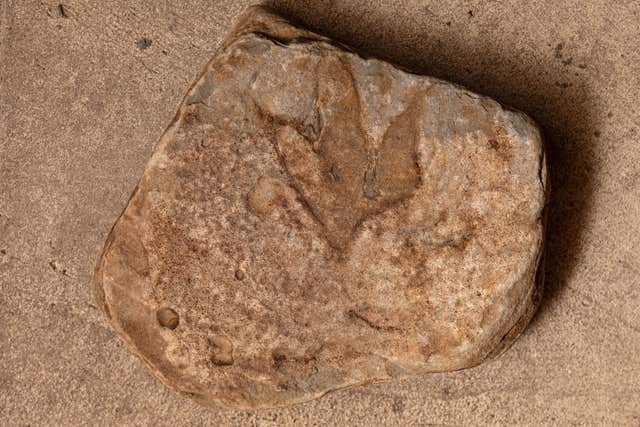 Protection for Skye dinosaur site