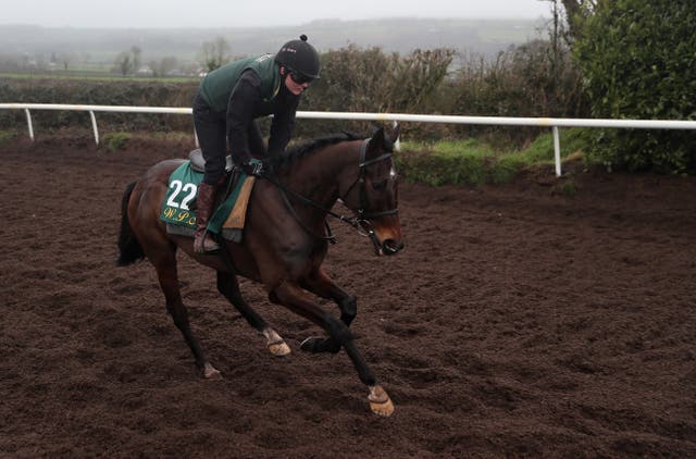 Klassical Dream exercising at Willie Mullins' Closutton base