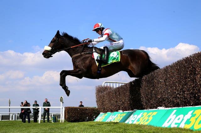 Saint Calvados in full flight
