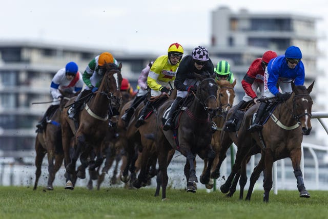 Top Dog (black silks) winning the Best Odds On The Betfair Exchange National Hunt Flat Race