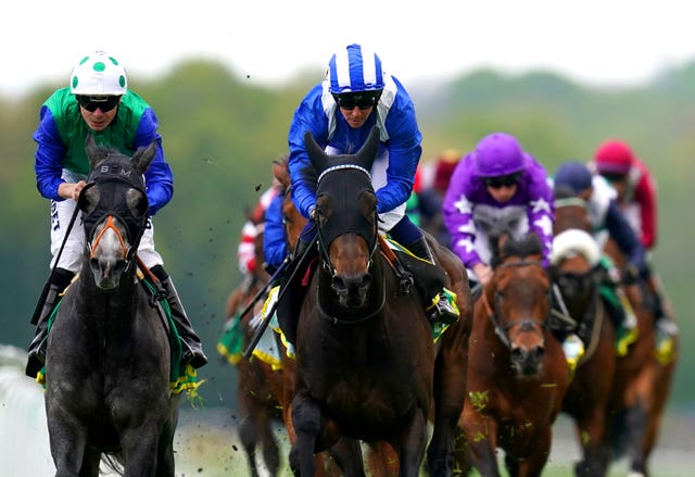 Wanees (centre) has Royal Ascot on his agenda