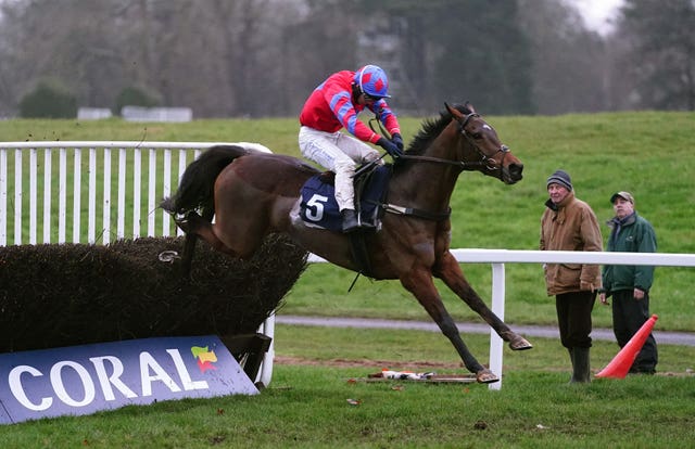 Pats Fancy jumps a fence at Chepstow