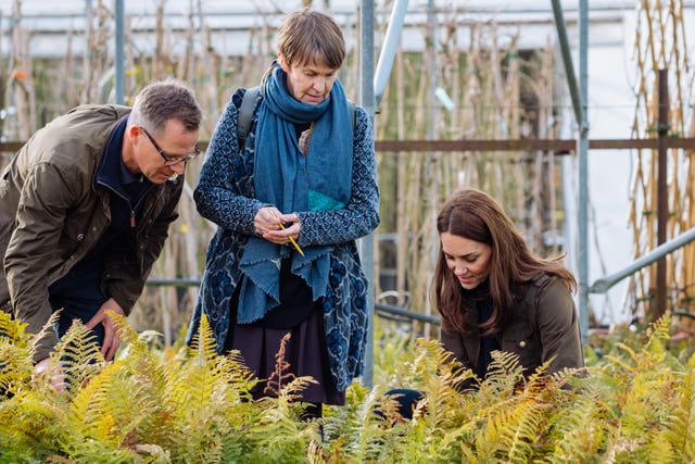 Duchess of Cambridge RHS Chelsea Flower Show garden