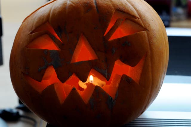 Halloween – Pumpkin Stock