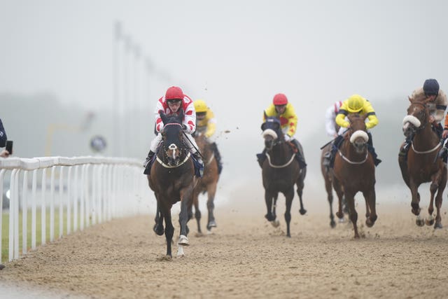 Ejtilaab (left) is one of two for Charlie Fellowes