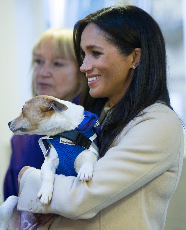 The Duchess Of Sussex