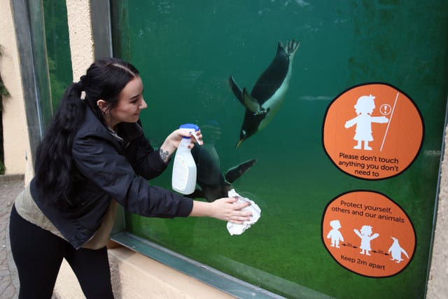 Woman cleaning window