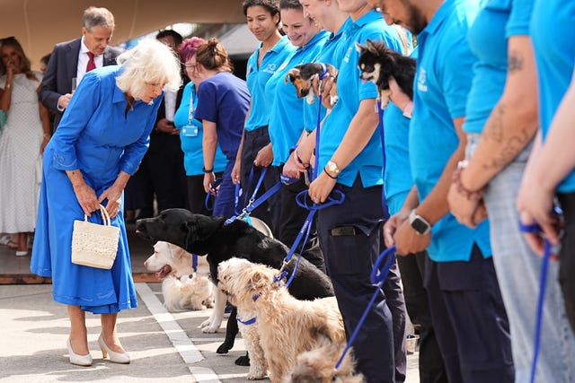 Royal visit to Battersea Dogs and Cats Home