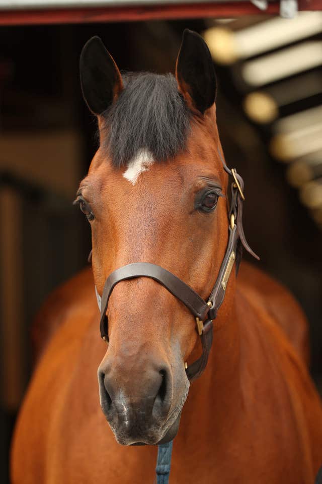 Quantock