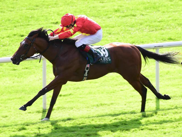 Thunder Moon is set for the Turf Sprint in Saudi Arabia (