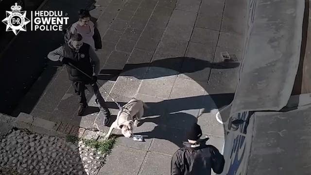 CCTV showed the dog that killed Jack Lis, called Beast, outside the village shop Top Stores on Heol Aneurin, Caerphilly, barking at a man (Gwent Police/PA)