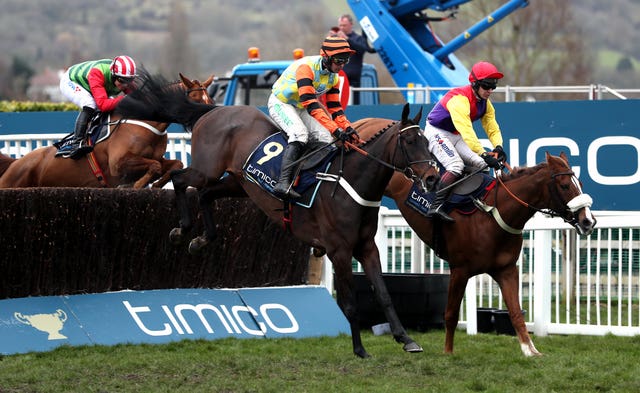 Native River (right) beat Might Bite in last year's Gold Cup