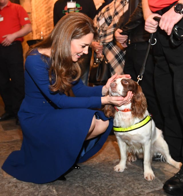 The Duchess of Cambridge strokes a dog