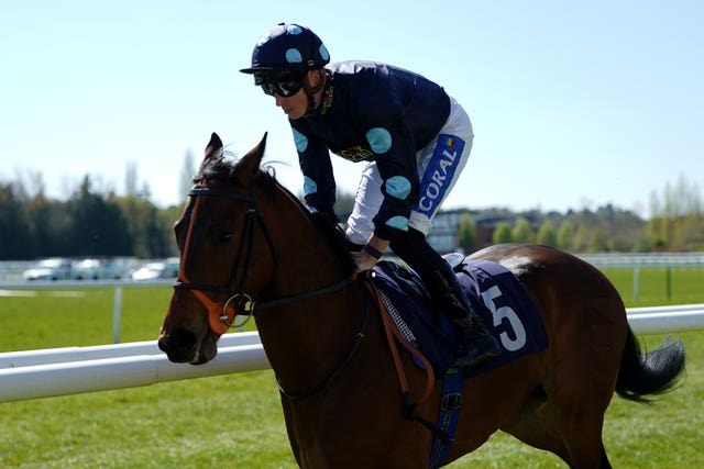 Inca Heights made a winning bow at Newbury