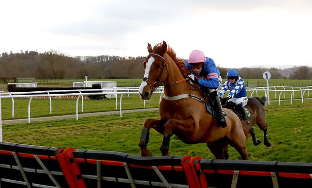 Dingo Dollar has progressed into a smart staying chaser this season