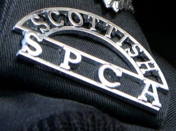 Scottish SPCA logo
