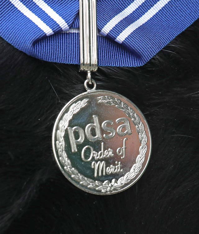 The PDSA Order of Merit