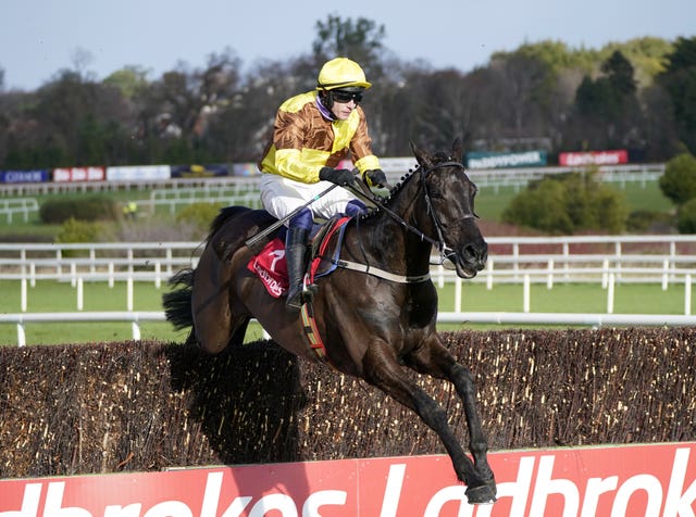 Galopin Des Champs runs for Willie Mullins