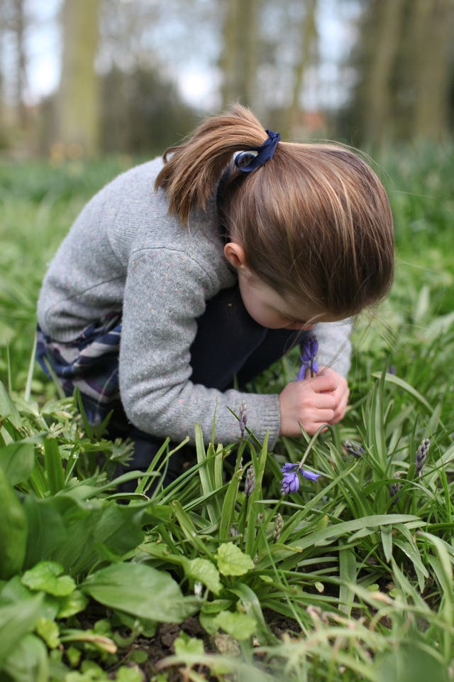Charlotte with bluebells