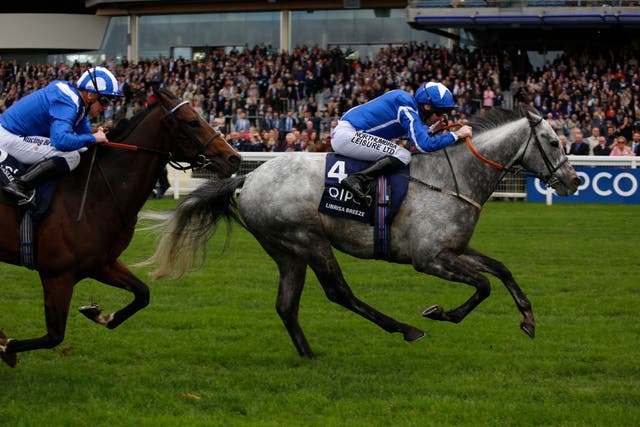 Librisa Breeze could return to action at Newbury on Saturday