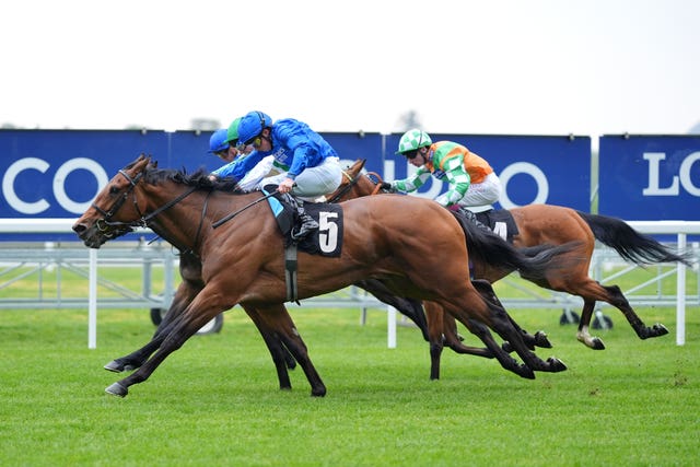 Diamond Rain won nicely on debut at Ascot