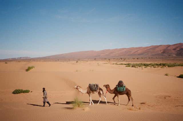 Fraser Wilson Sahara trek