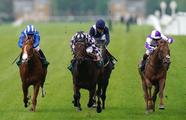Go Bears Go (centre) was an Ascot winner on his return