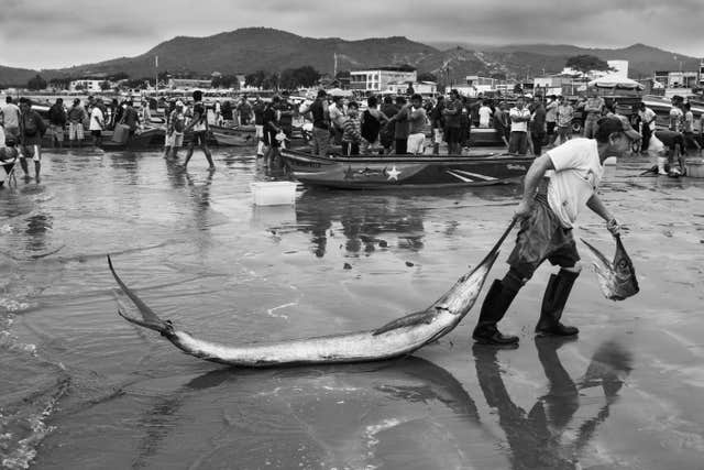 Prize Catch by Jef Pattyn, from Belgium and the Netherlands, has been highly commended in the oceans: the bigger picture category