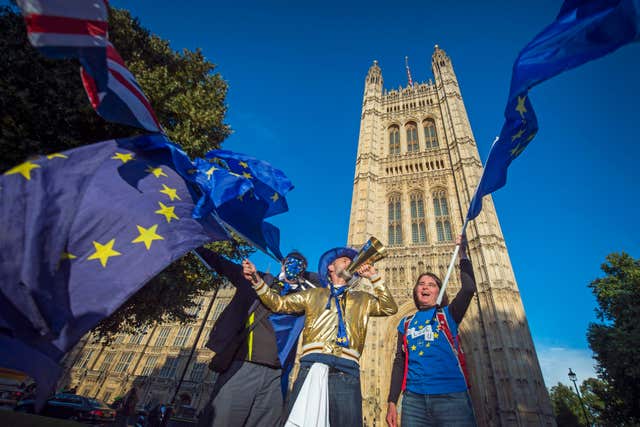 Pro-European Union and anti-Brexit demonstrators protest outside the Houses of Parliament