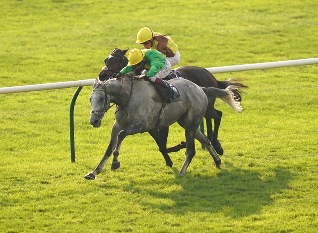 Oisin Murphy riding Buzz to victory in the Cesarewitch