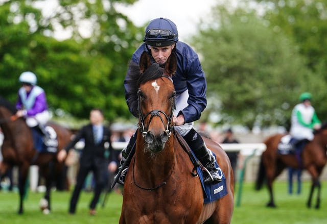 City Of Troy disappointed in last year's 2000 Guineas