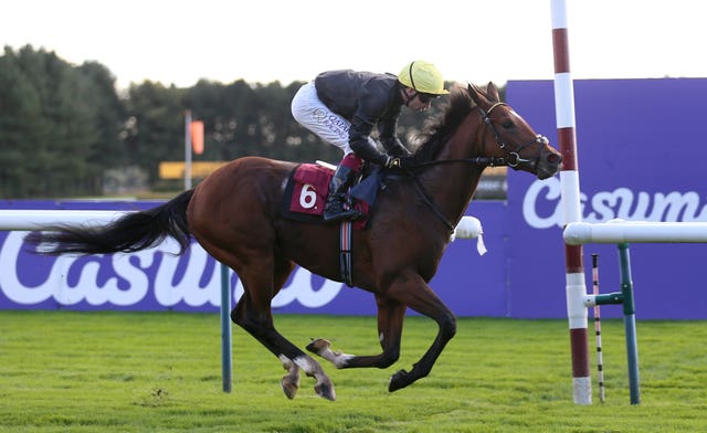 Magisterial in winning action at Haydock