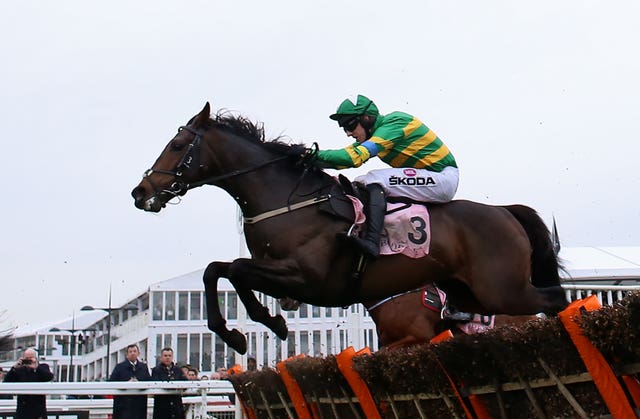 Brazil and Mark Walsh in action at Cheltenham