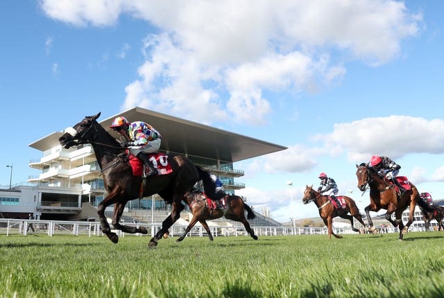 Discordantly in action at Cheltenham